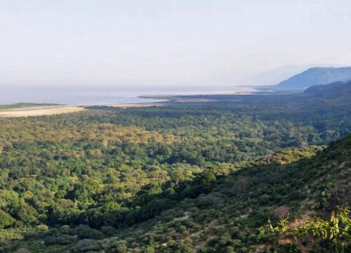 Explore Lake Manyara: Tanzania’s Safari Paradise