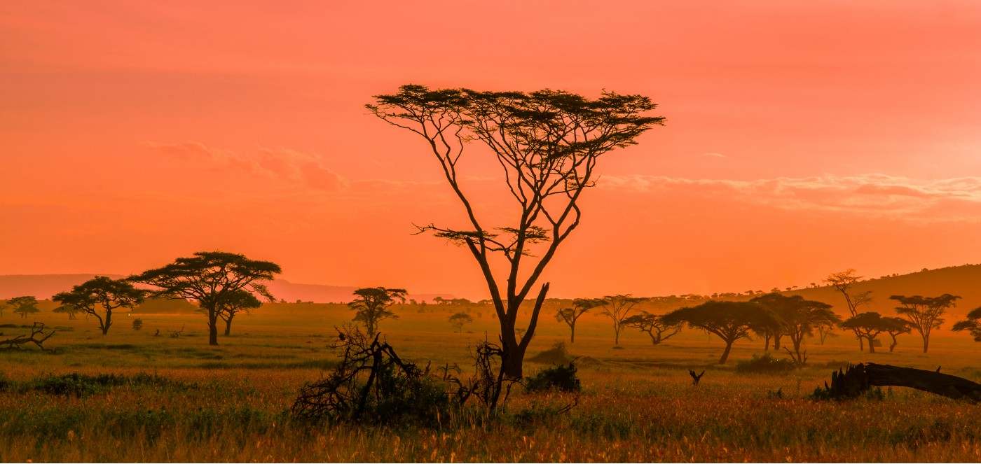 Serengeti National Park