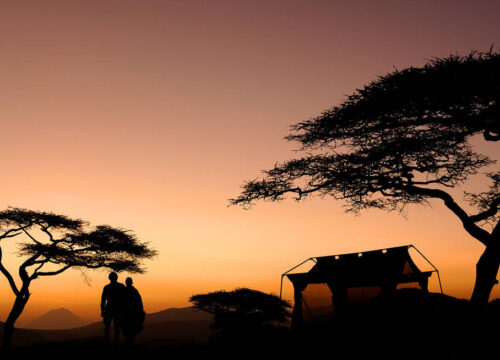 Ngorongoro Crater: Unforgettable Safari Experience