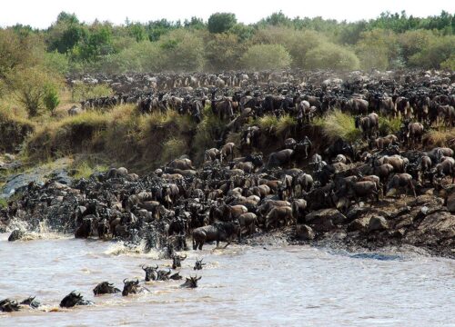 11-Day Tanzania & Kenya Wildlife Safari: Tarangire, Serengeti, Ngorongoro & Masai Mara