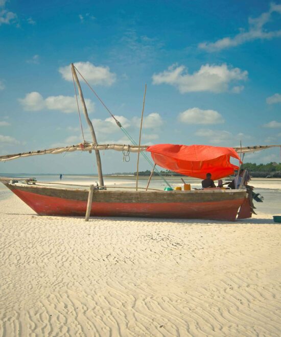 Safari Blue Full-Day Excursion – Zanzibar