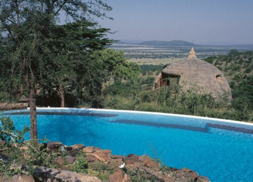 Tanzania Luxury Safari