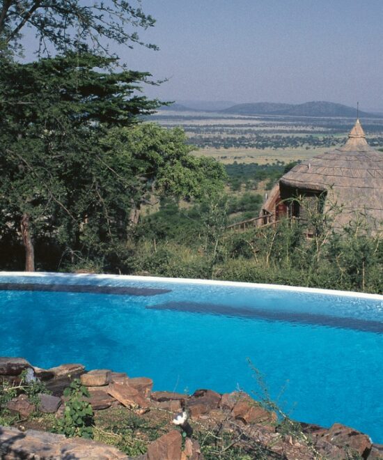 Tanzania Luxury Safari
