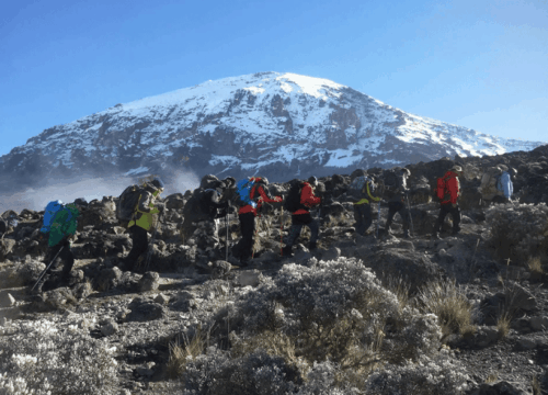 7-Day Luxury Machame Route Kilimanjaro Climb