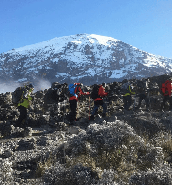 7-Day Luxury Machame Route Kilimanjaro Climb