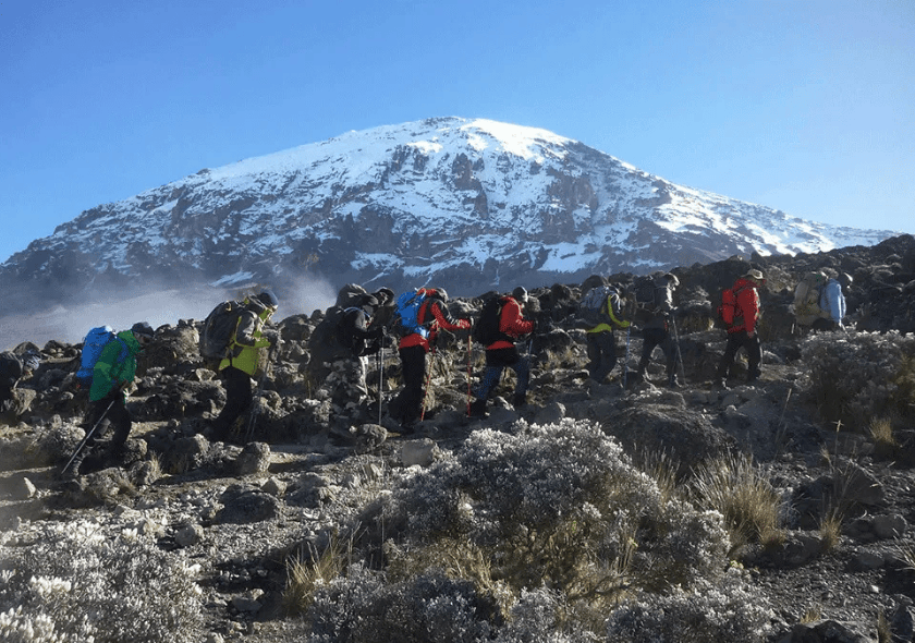 7-Day Luxury Machame Route Kilimanjaro Climb