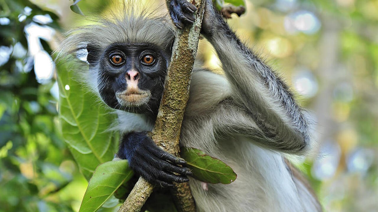 Nature & Safari Experiences